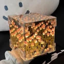 Diy Tulips Cube Mirror Lamp Tulip Night Light Decorative Tulip Nights Lamp