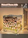Diy Tulips Cube Mirror Lamp Tulip Night Light Decorative Tulip Nights Lamp
